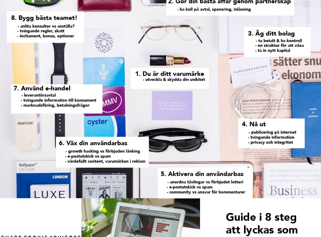 Juridisk guide till hur du som medieentreprenör lyckas med din verksamhet. Infografik.